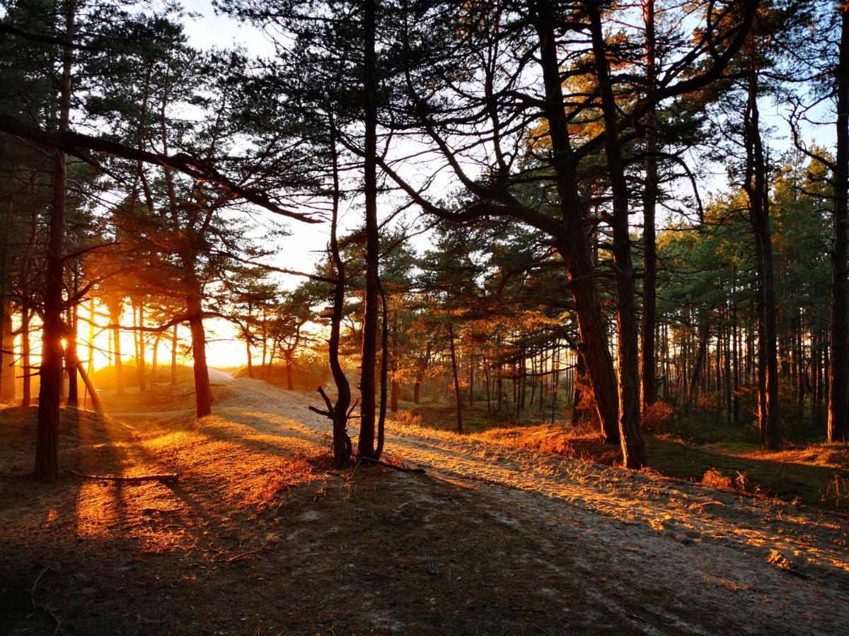 Sunny Pines Apartment พาลังกา ภายนอก รูปภาพ